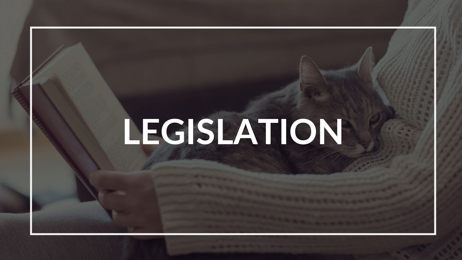 spay_la_legislation